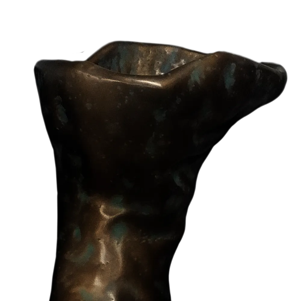 Vista em detalhe do jarrão Brutus com destaque para a sua forma orgânica e escultural