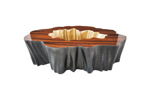 Gaia coffee table with palo santo top and brass finish